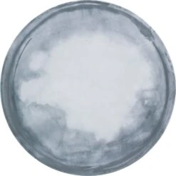 12 X Bauscher Teller Flach ENJOY, Asymmetrisch, -Esmeyer Küchenaccessoires Günstiges Geschäft b1a30562 4e32 4237 93c2 30c72046fee6